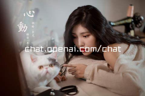 chat.openai.com/chat